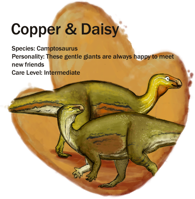 copperndaisy update.png