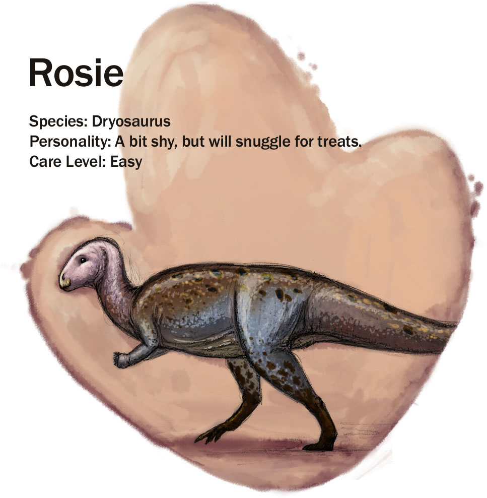 Rosie.jpg
