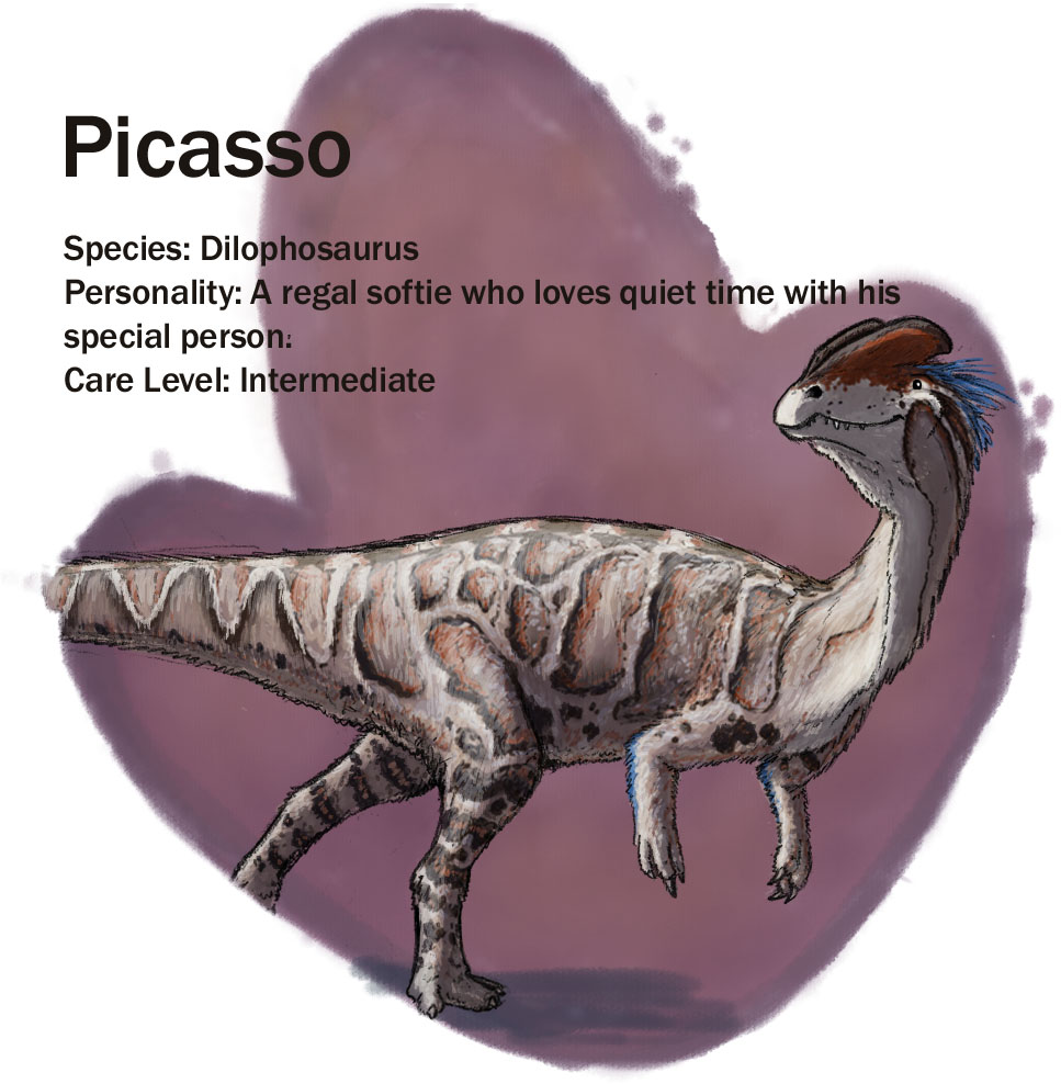 picasso_update