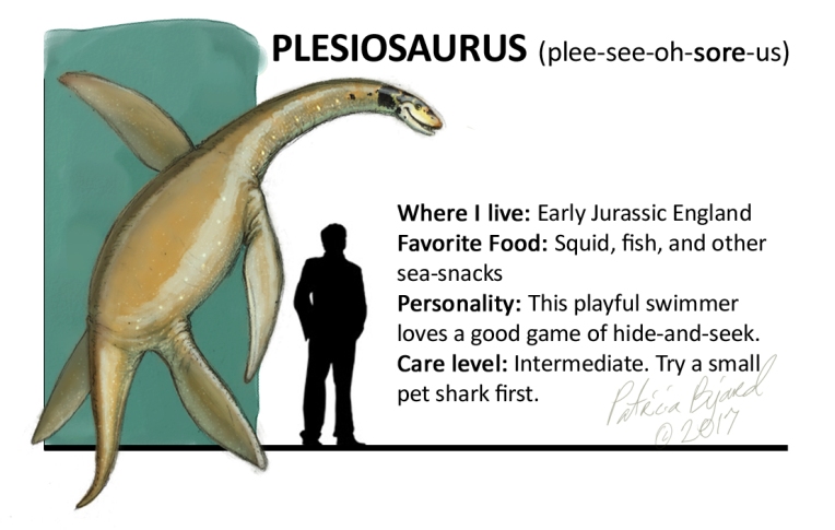 Plesiosaurus box